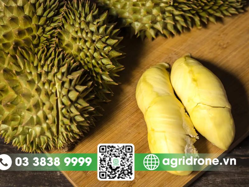 Dinh dưỡng và giá trị của vỏ sầu riêng 