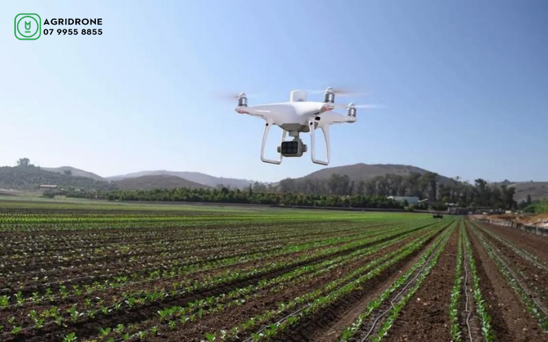 Phantom 4 Multispectral – Máy bay không người lái tốt nhất cho ngành nông nghiệp