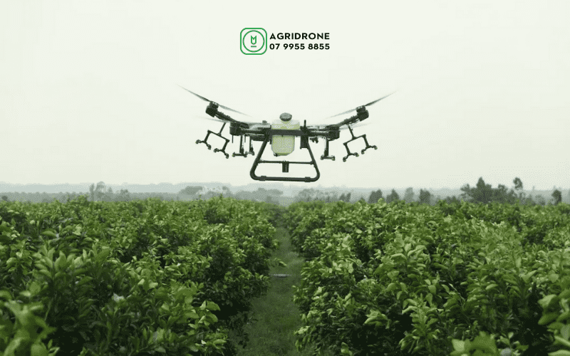 DJI-Agras-T30