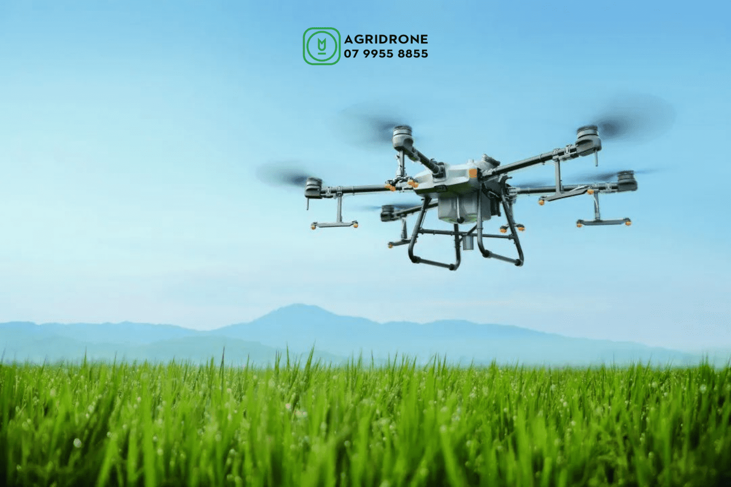 Giải mã công nghệ DJI Agras T30: Phân nhánh nhắm mục tiêu