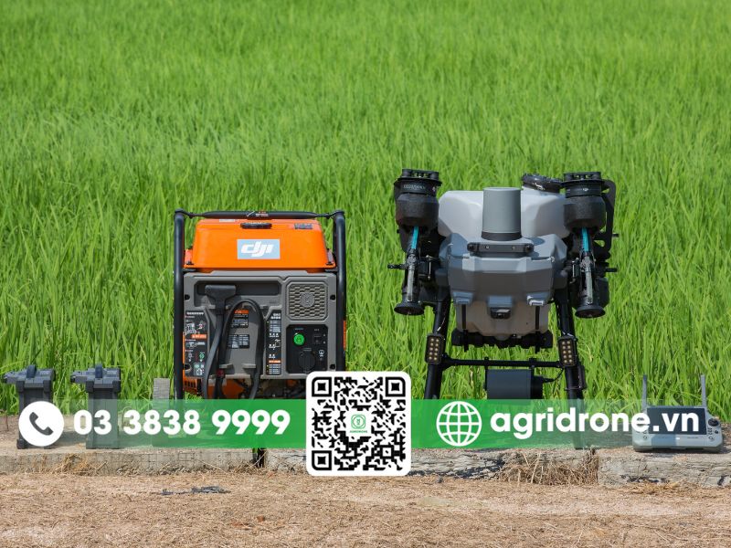 Ứng dụng của máy bay phun thuốc DJI T25P hỗ trợ sản xuất nông nghiệp 2 Rải thức ăn chăn nuôi