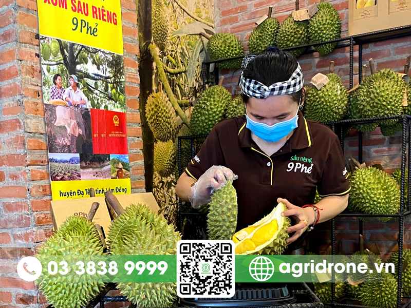 sau rieng 9 phe gia bao nhieu 1