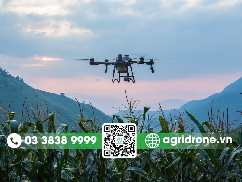So sánh DJI T25P với DJI T25: Lựa chọn nào tốt hơn? 2 So sánh điểm khác nhau giữa DJI T25P Với DJI T25