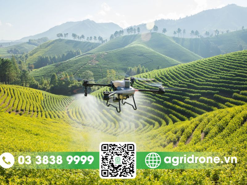 Luồng gió đối lưu mạnh mẽ từ cánh quạt