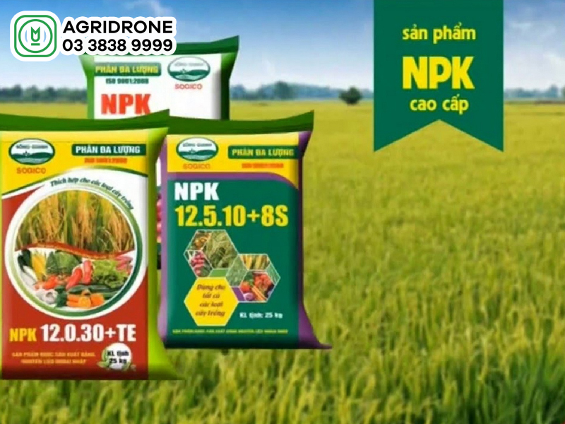 phan bon npk 20 20 15 03