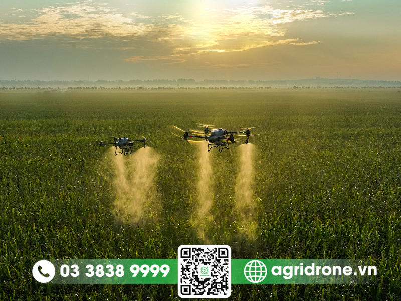 So sánh thông số cơ bản của DJI T50 và các thế hệ tiền nhiệm 1 Đặc điểm chung của các máy bay phun thuốc DJI Agras