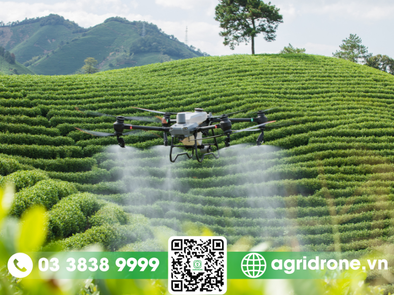Giá máy bay phun thuốc DJI T50 bao nhiêu?