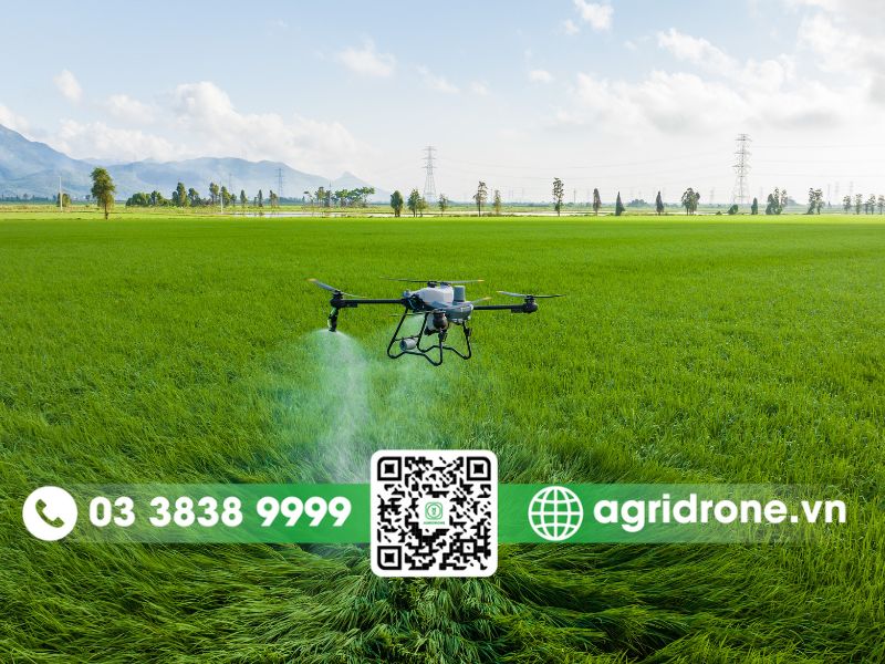 Ứng dụng của máy bay phun thuốc DJI T25P hỗ trợ sản xuất nông nghiệp 1 Ứng dụng của T25P là phun thuốc bảo vệ thực vật
