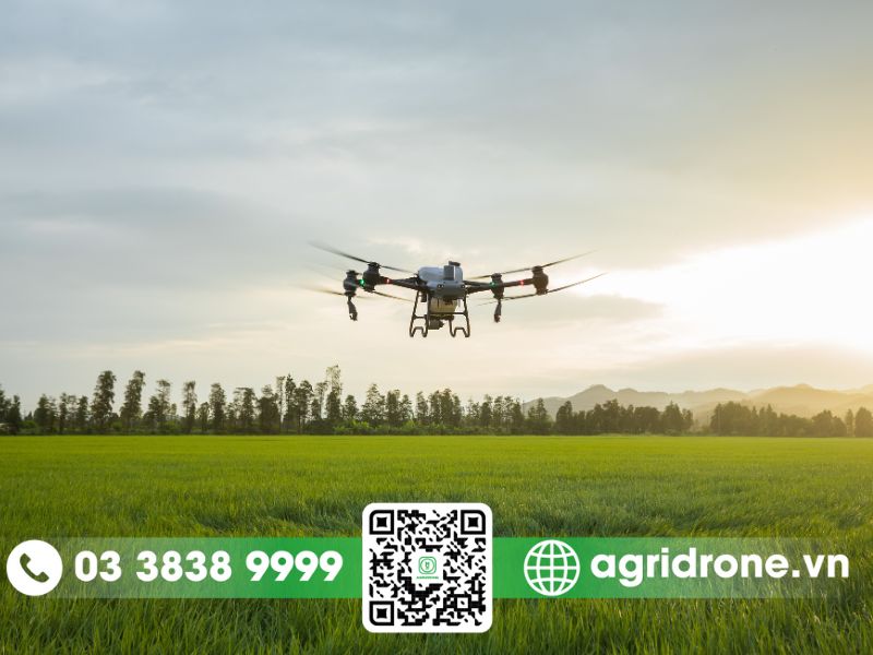 Máy bay không người lái chiến đấu chống chuột phá hoại mùa màng 2 Máy bay không người lái chống chuột phá hoại cây trồng