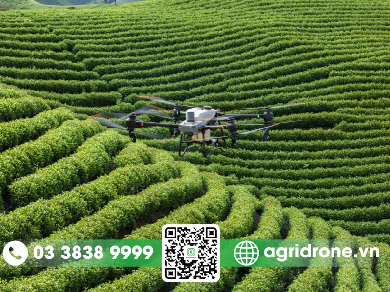 Dịch vụ phun thuốc Đắk Nông bằng máy bay phun thuốc điều khiển từ xa