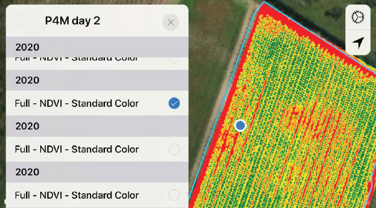 NDVI