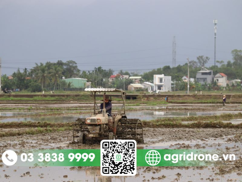 Cách chăm sóc lúa vụ mùa từ khi gieo cấy đến thu hoạch 2 Chuẩn bị trước khi gieo cấy lúa vụ mùa