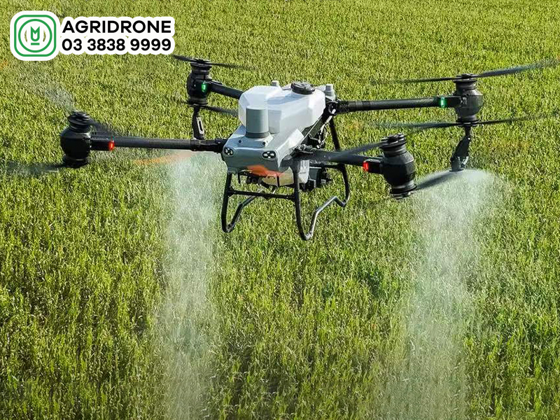Hướng dẫn sử dụng máy bay phun thuốc DJI T50