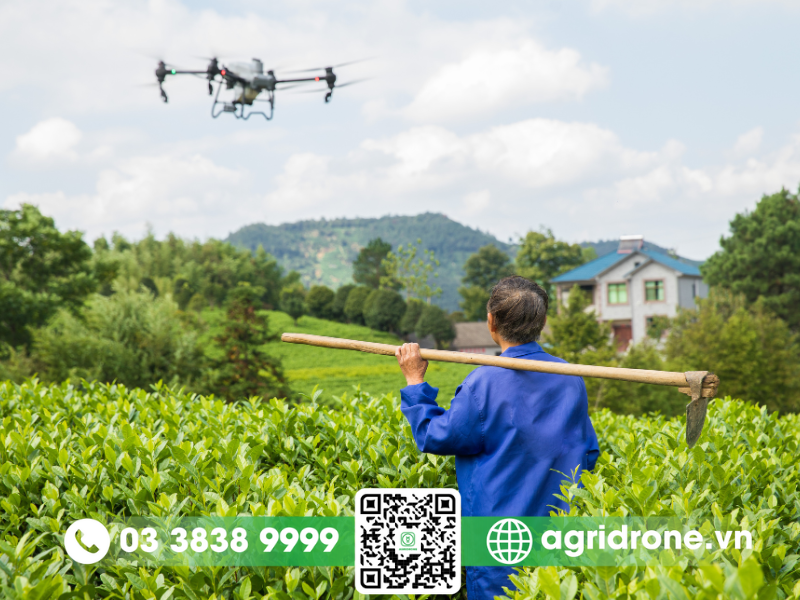 Máy bay phun thuốc trừ sâu tại Gia Lai trợ thủ đắc lực của nhà nông