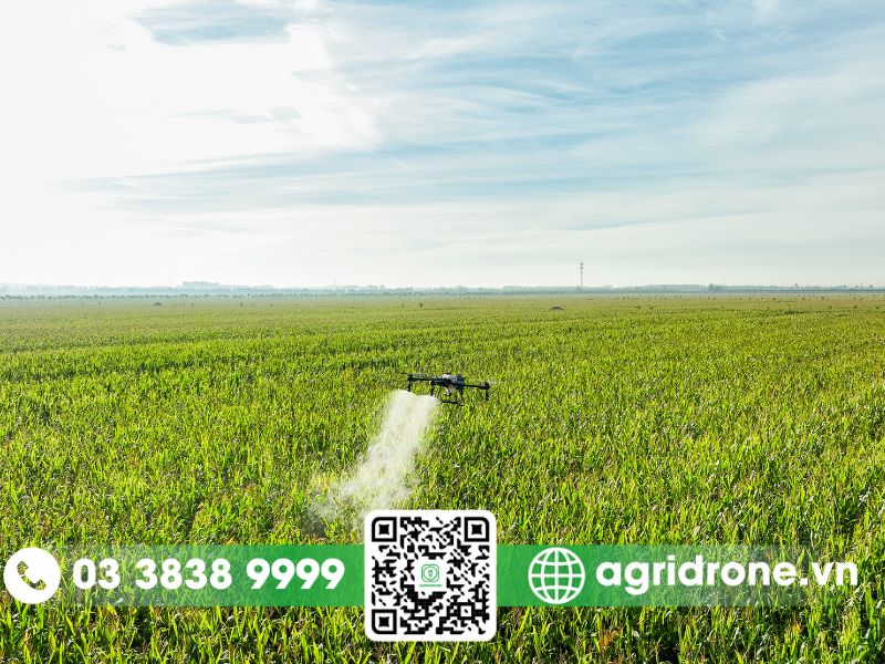 AgriDrone Việt Nam - Cung cấp giải pháp phun thuốc bằng drone chuyên nghiệp