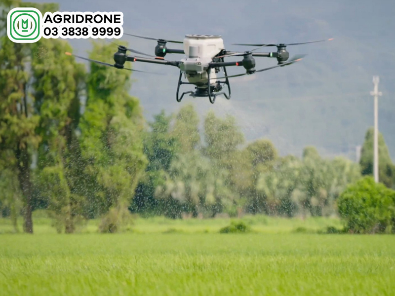 review may bay sa lua rai phan dji agras t50 1