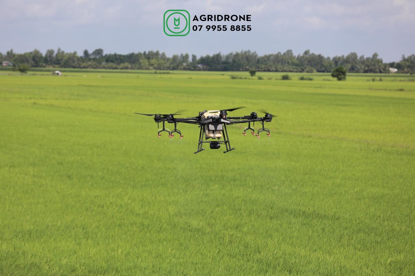 may-ba-phun-thuoc-t16