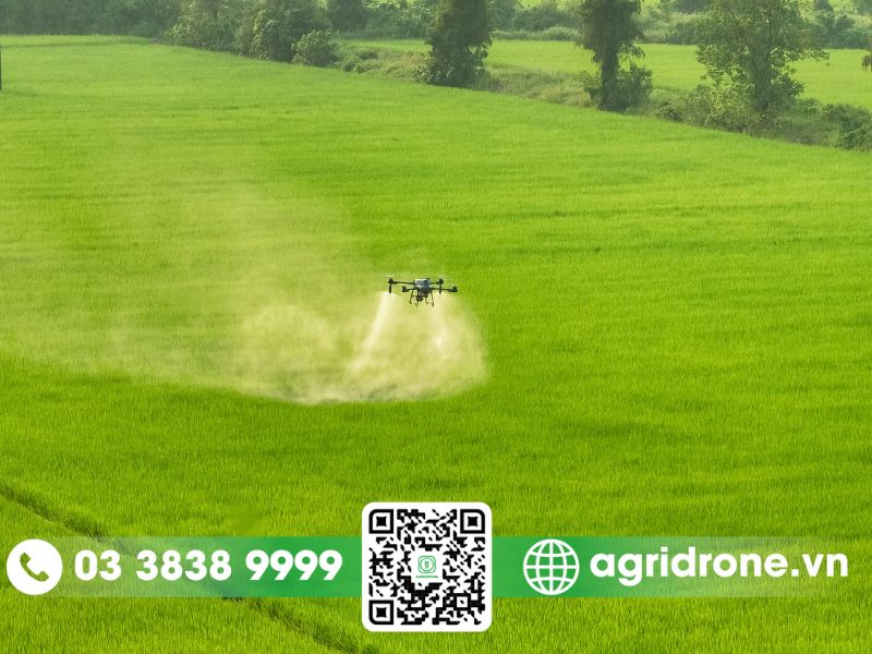 Drone tưới nước cho cây trồng