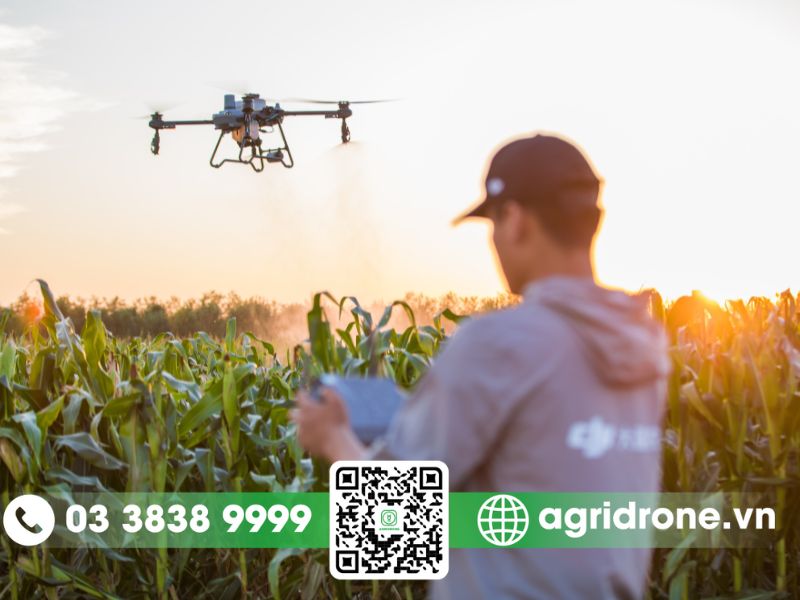 Cấm sử dụng cánh quạt không chính hãng cho drone nông nghiệp 5 Lợi ích khi sử dụng cánh quạt đạt chất lượng