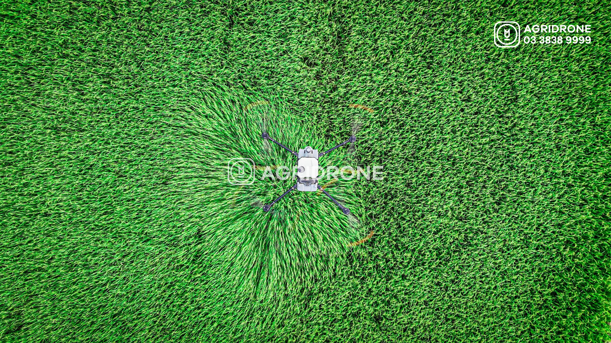 DJI Vietnam – Người bạn luôn đồng hành cùng với AgriDrone