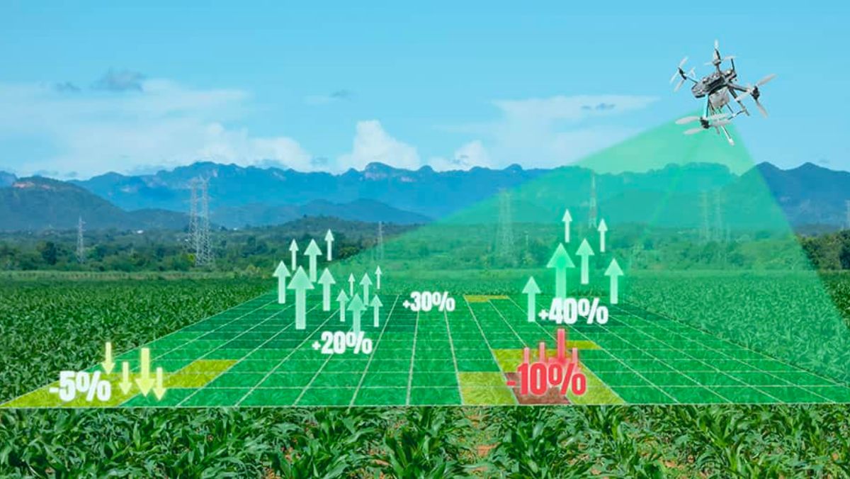 Thu thập dữ liệu và phân tích thông tin