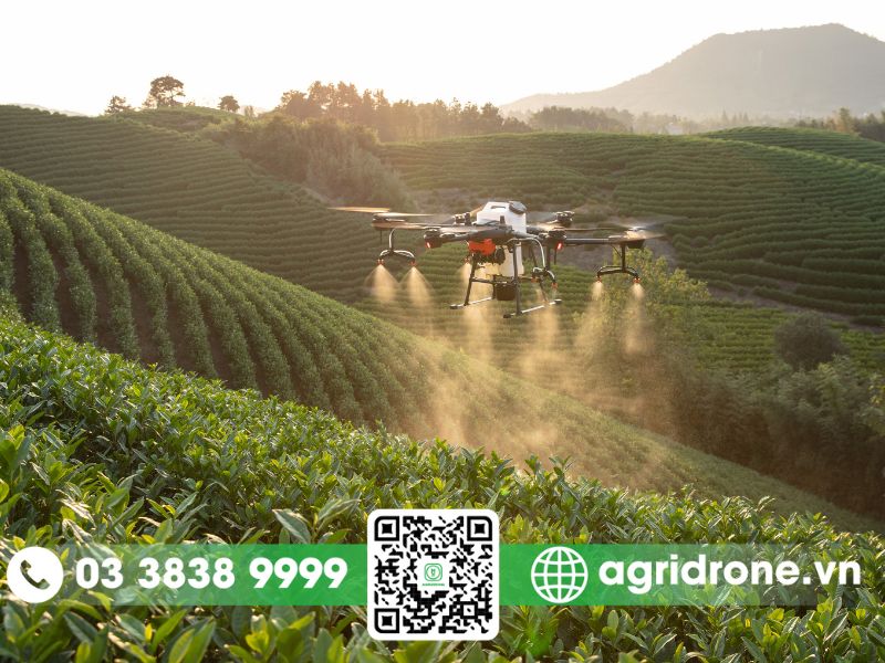 Chuyển đổi số trong nông nghiệp: Xu thế tất yếu