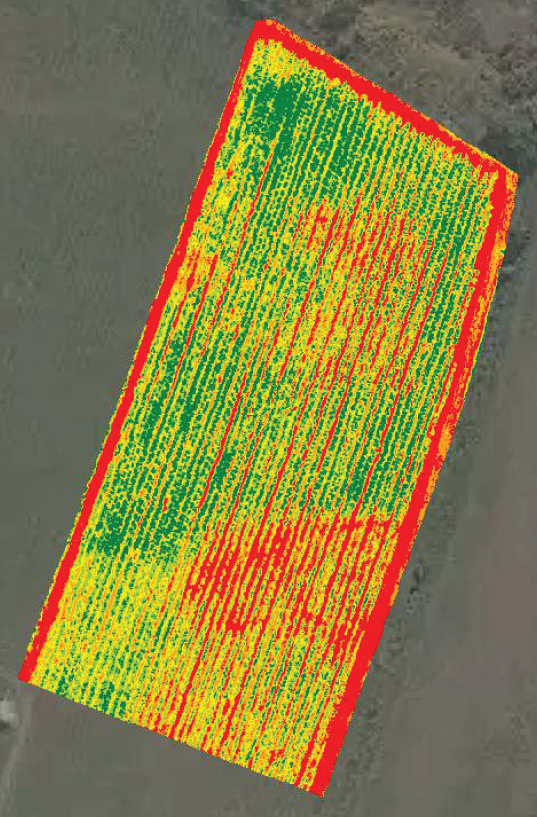 so-do-NDVI