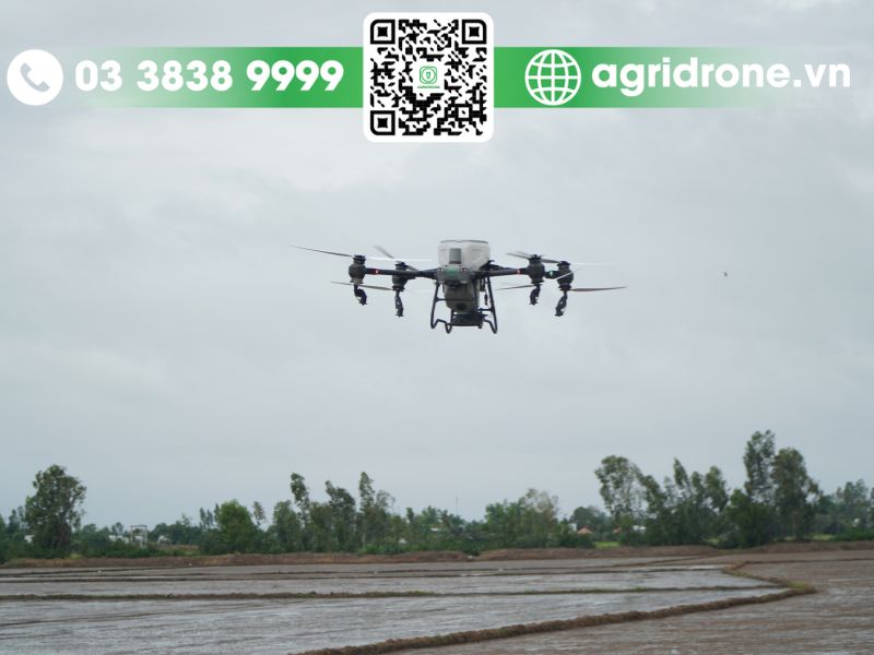 Ứng dụng drone phun thuốc trong canh tác lúa