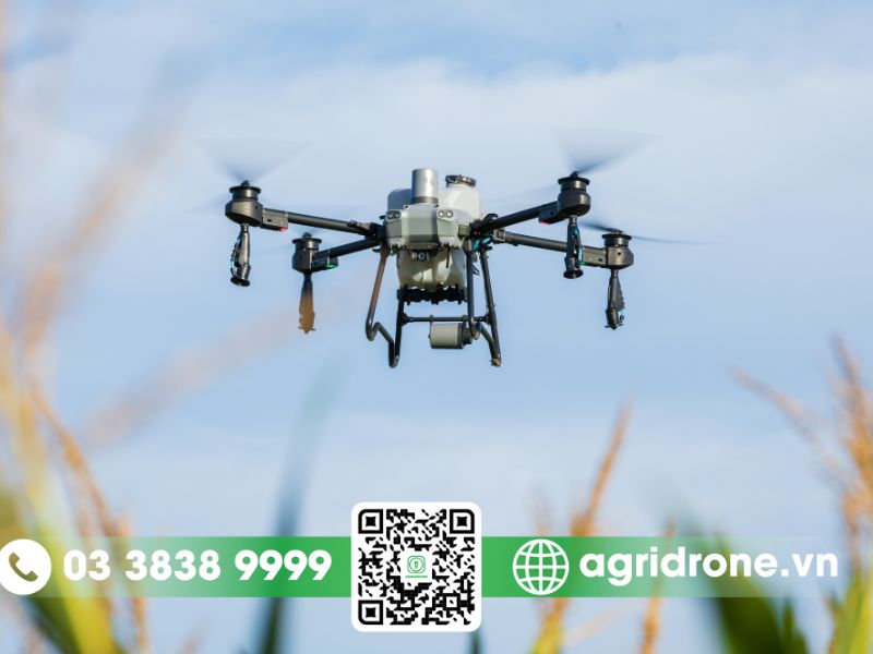 Máy bay không người lái 