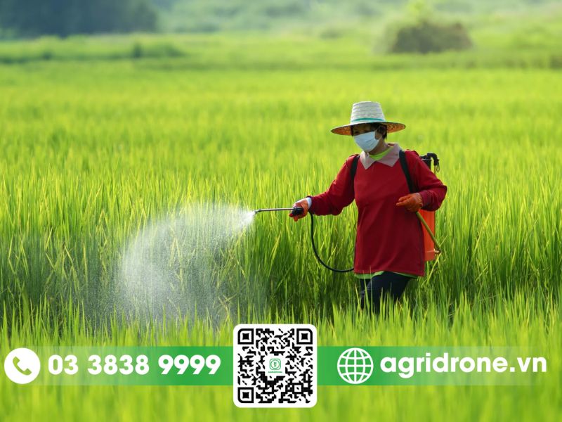 Sử dụng thuốc bảo vệ thực vật theo nguyên tắc 4 đúng 