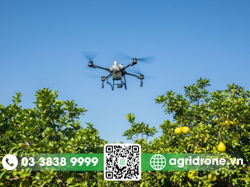 Ứng dụng drone trong nông nghiệp đem lại hiệu quả cao