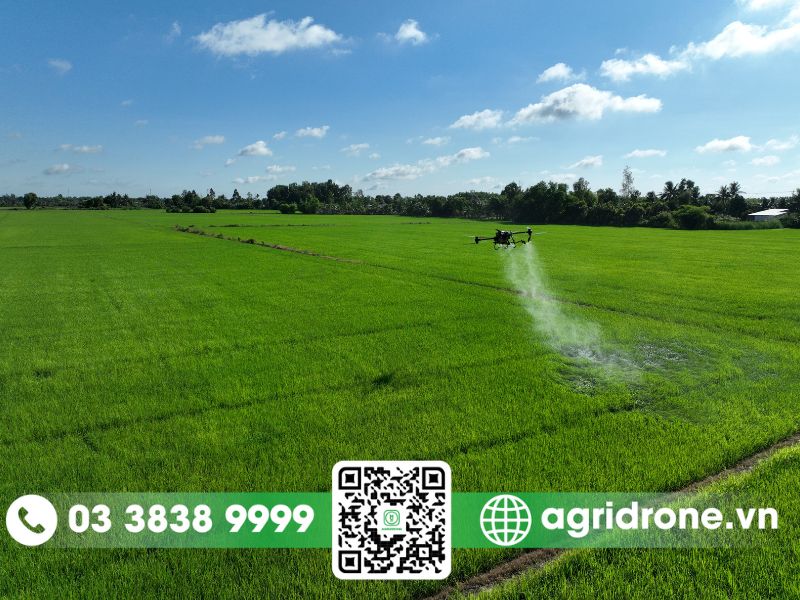 Dịch vụ phun thuốc bằng máy bay tại Long An
