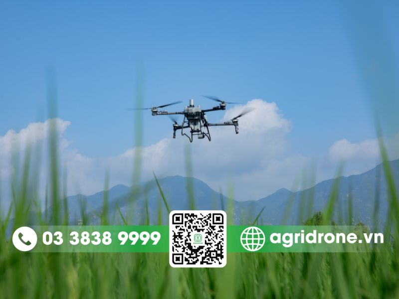 5 lợi ích vượt trội khi sử dụng drone để diệt cỏ ruộng lúa