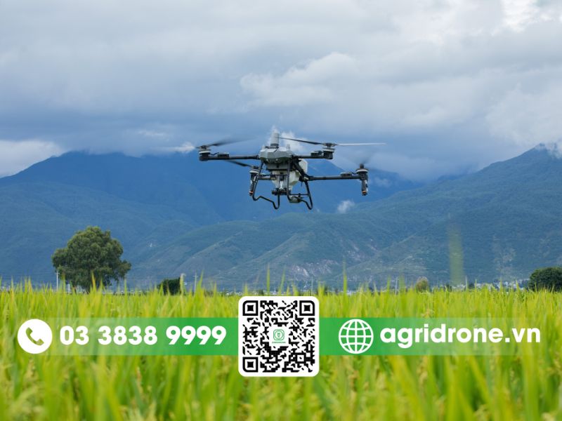 Giải đáp thắc mắc thường gặp (FAQ)