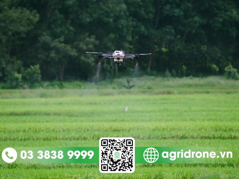 Hướng dẫn cách sử dụng máy bay nông nghiệp T10 của DJI