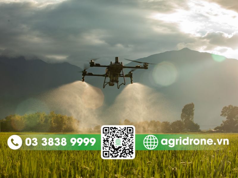Hướng dẫn quy trình phun thuốc diệt cỏ bằng drone chuẩn 4 bước
