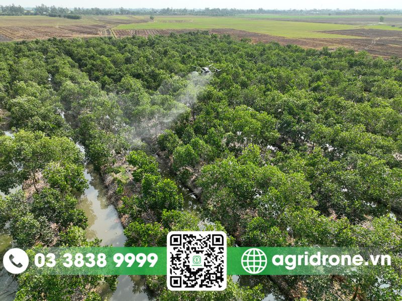 Hướng dẫn sử dụng phun thuốc diệt nhện đỏ bằng máy bay không người lái nông nghiệp