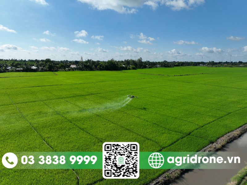 AgriDrone Việt Nam giới thiệu máy bay phun thuốc tại Kiên Giang