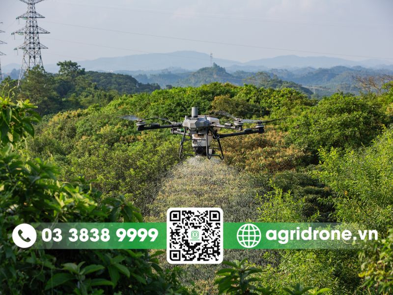 Máy bay phun thuốc Bình Phước nâng cao năng suất cây nông nghiệp