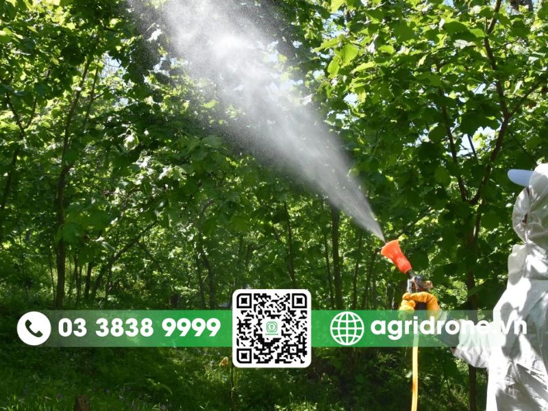 Nhân công phun thuốc trừ sâu tại Bình Phước ngày càng khan hiếm