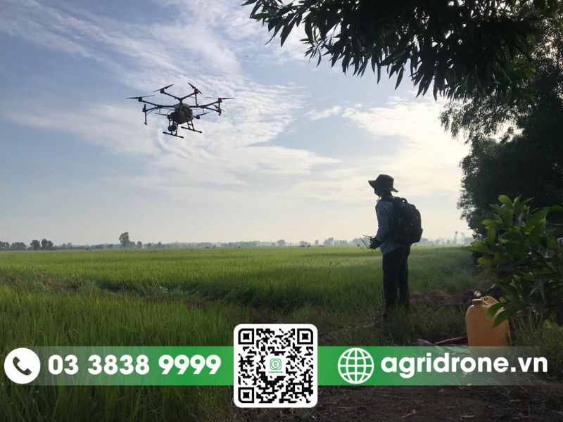 Ứng dụng máy bay phun thuốc cho cây trồng tại Hậu Giang