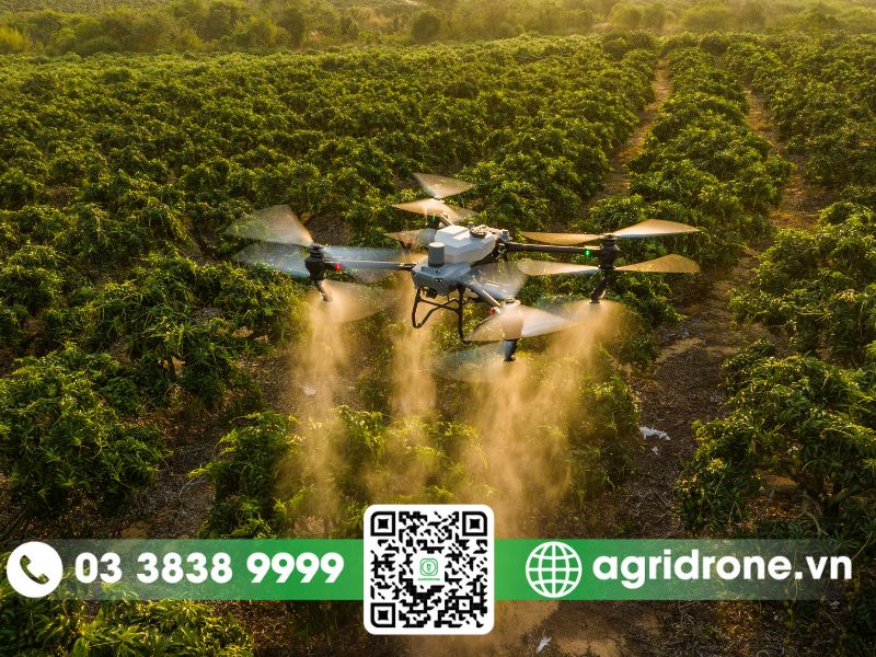Máy bay phun thuốc Đắk Lắk cho cây công nghiệp