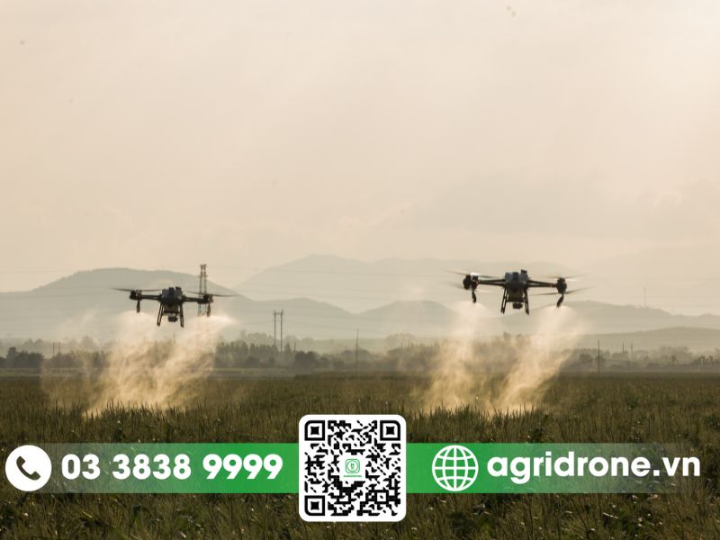 Máy bay phun thuốc tại Gia Lai giúp tiết kiệm thời gian và chi phí