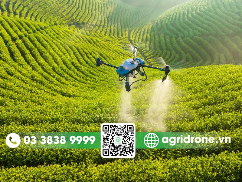 Nền tảng đám mây nông nghiệp thông minh giúp quản lý trang trại hiệu quả