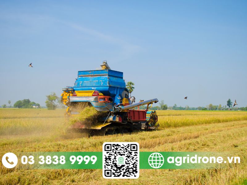 Đẩy mạnh ứng dụng công nghệ vào sản xuất nông nghiệp tại Ninh Bình