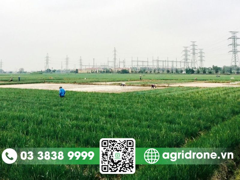 Hải Dương đẩy mạnh cơ giới hóa trong nông nghiệp
