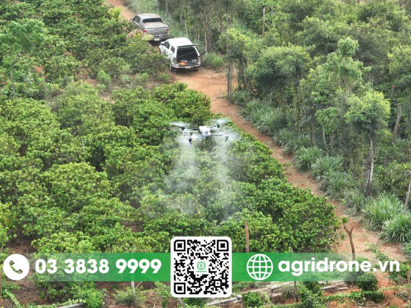 Máy bay phun thuốc Kon Tum giúp nông nghiệp phát triển