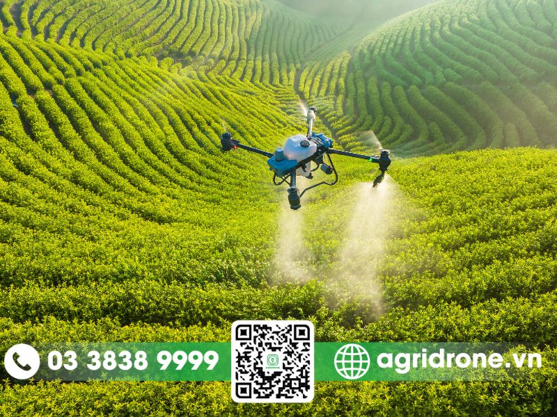 Máy bay phun thuốc tại Lai Châu: giải pháp phòng trừ sâu bệnh hiệu quả