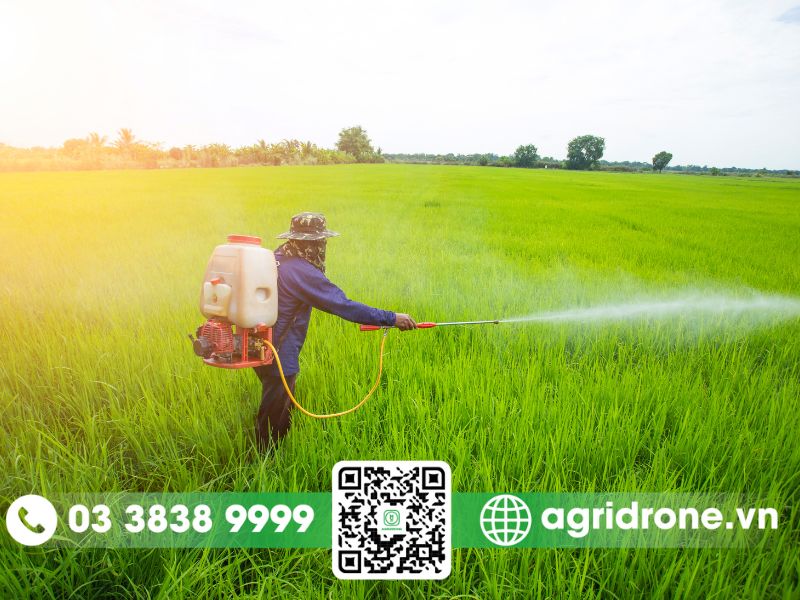 Tình hình phát triển nông nghiệp tại Nam Định 