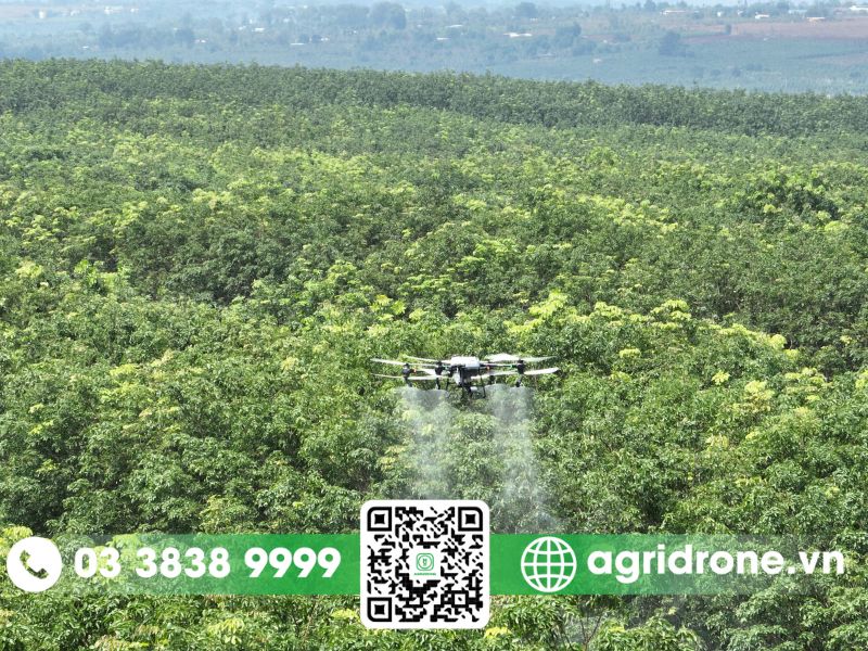 Ứng dụng máy bay phun thuốc bảo vệ thực vật tại Kon Tum